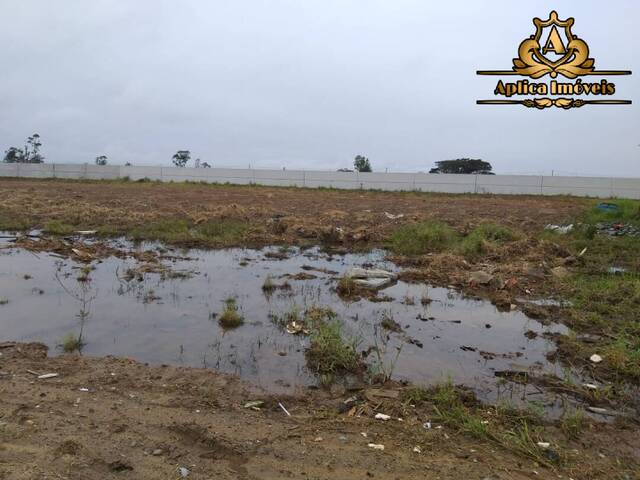 Terreno para Locação em Navegantes - 5