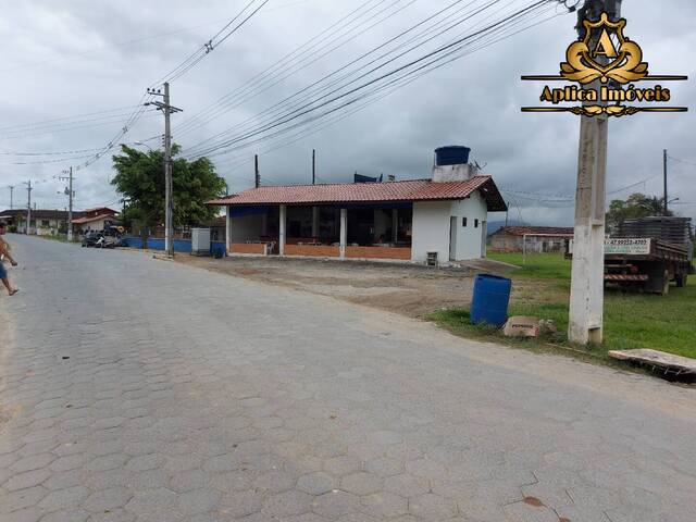 Área para Venda em Penha - 5