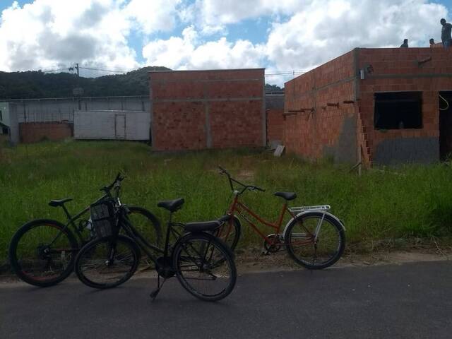 Área para Venda em Ilhota - 4