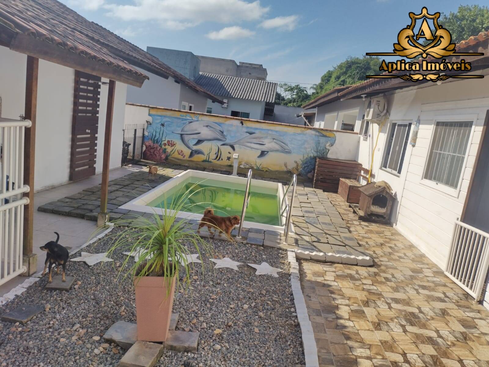 Casa à venda com 5 quartos, 110m² - Foto 4